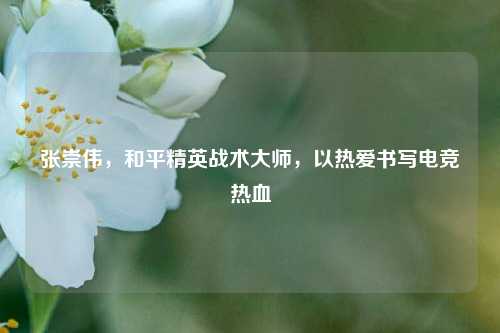 张崇伟，和平精英战术大师，以热爱书写电竞热血