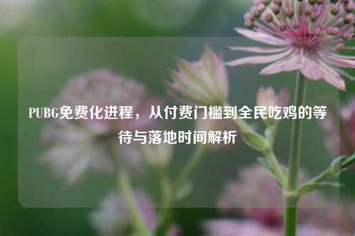 PUBG免费化进程,从付费门槛到全民吃鸡的等待与落地时间解析