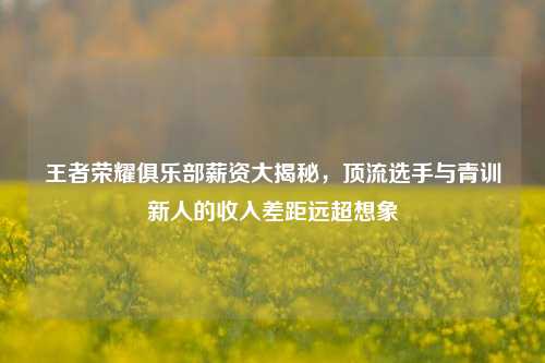 王者荣耀俱乐部薪资大揭秘,顶流选手与青训新人的收入差距远超想象