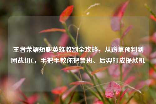 王者荣耀短腿英雄收割全攻略,从蹲草预判到团战切C,手把手教你把鲁班、后羿打成提款机