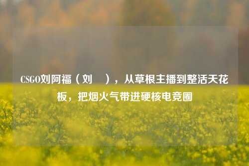 CSGO刘阿福（刘頔），从草根主播到整活天花板，把烟火气带进硬核电竞圈