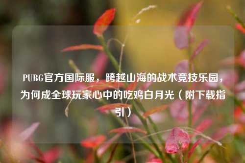 PUBG官方国际服,跨越山海的战术竞技乐园,为何成全球玩家心中的吃鸡白月光(附下载指引)
