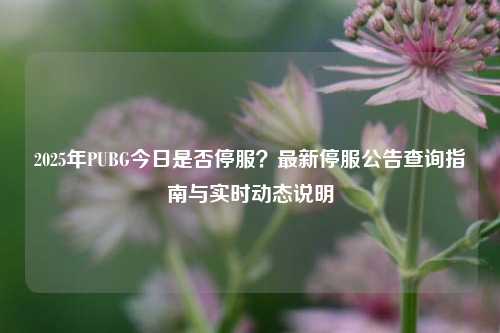 2025年PUBG今日是否停服？最新停服公告查询指南与实时动态说明