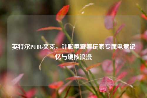 英特尔PUBG夹克，针脚里藏着玩家专属电竞记忆与硬核浪漫