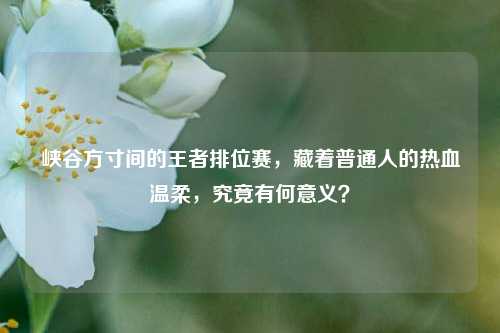 峡谷方寸间的王者排位赛，藏着普通人的热血温柔，究竟有何意义？