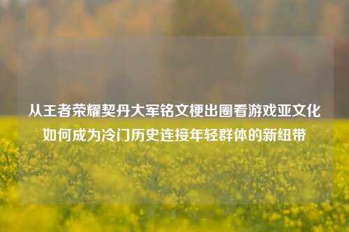 从王者荣耀契丹大军铭文梗出圈看游戏亚文化如何成为冷门历史连接年轻群体的新纽带