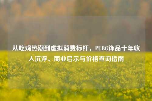 从吃鸡热潮到虚拟消费标杆,PUBG饰品十年收入沉浮、商业启示与价格查询指南