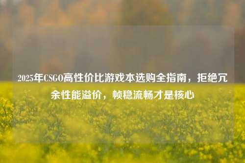 2025年CSGO高性价比游戏本选购全指南，拒绝冗余性能溢价，帧稳流畅才是核心