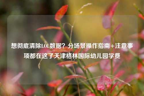 想彻底清除LOL数据?分场景操作指南+注意事项都在这了天津格林国际幼儿园学费