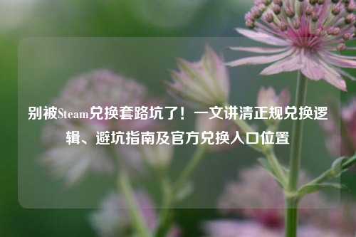 别被Steam兑换套路坑了!一文讲清正规兑换逻辑、避坑指南及官方兑换入口位置