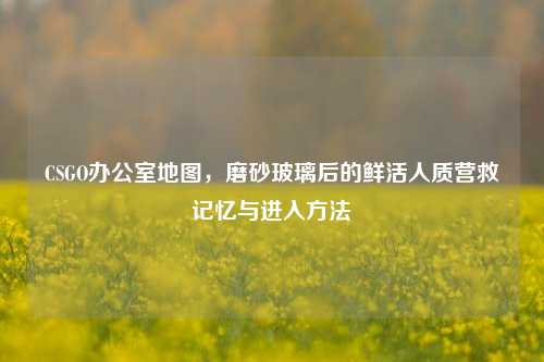 CSGO办公室地图，磨砂玻璃后的鲜活人质营救记忆与进入方法