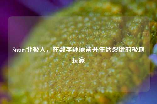 Steam北极人,在数字冰原凿开生活裂缝的极地玩家
