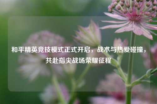 和平精英竞技模式正式开启,战术与热爱碰撞,共赴指尖战场荣耀征程