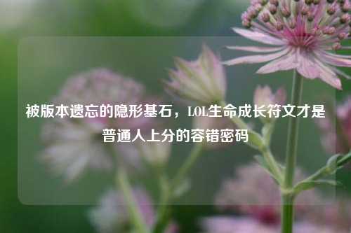 被版本遗忘的隐形基石,LOL生命成长符文才是普通人上分的容错密码