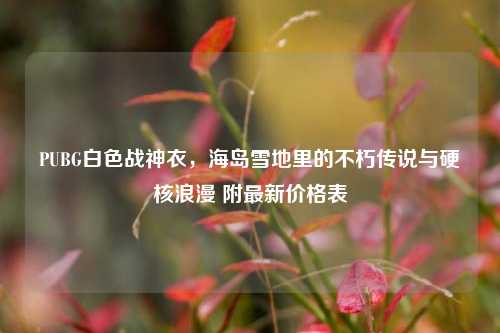 PUBG白色战神衣，海岛雪地里的不朽传说与硬核浪漫 附最新价格表