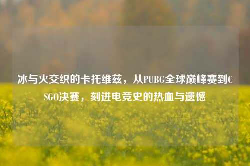 冰与火交织的卡托维兹，从PUBG全球巅峰赛到CSGO决赛，刻进电竞史的热血与遗憾