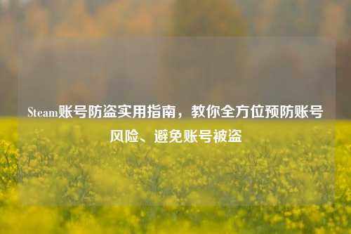 Steam账号防盗实用指南,教你全方位预防账号风险、避免账号被盗