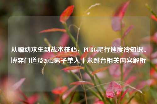 从蠕动求生到战术核心,PUBG爬行速度冷知识、博弈门道及2012男子单人十米跳台相关内容解析