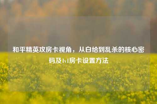 和平精英攻房卡视角,从白给到乱杀的核心密码及1v1房卡设置方法