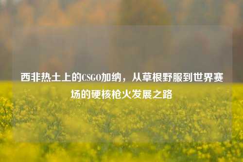 西非热土上的CSGO加纳，从草根野服到世界赛场的硬核枪火发展之路