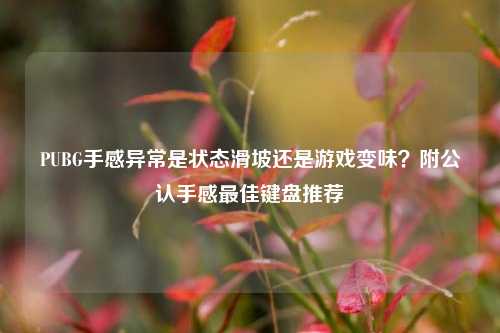 PUBG手感异常是状态滑坡还是游戏变味？附公认手感最佳键盘推荐