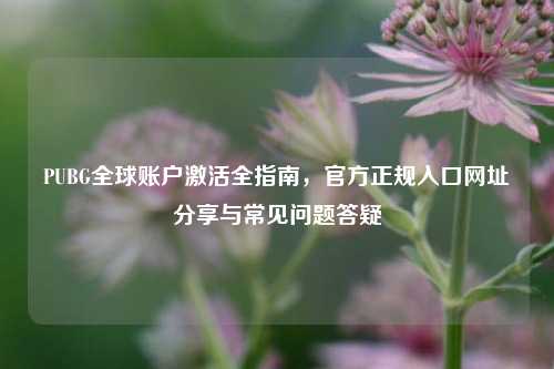 PUBG全球账户激活全指南，官方正规入口网址分享与常见问题答疑