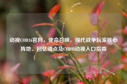 动视COD16官网，使命召唤，现代战争玩家核心阵地、回忆锚点及CODM动视入口指南