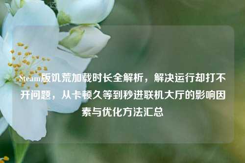 Steam版饥荒加载时长全解析,解决运行却打不开问题,从卡顿久等到秒进联机大厅的影响因素与优化方法汇总