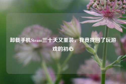 卸载手机Steam三十天又重装,我竟找回了玩游戏的初心