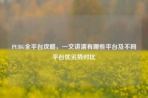 PUBG全平台攻略，一文讲清有哪些平台及不同平台优劣势对比