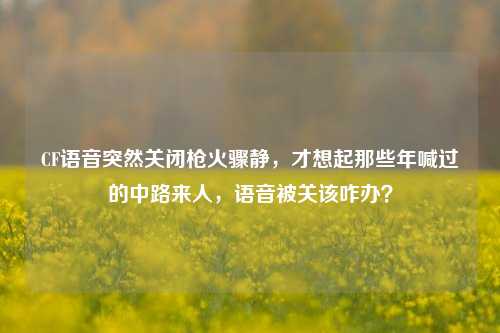 CF语音突然关闭枪火骤静，才想起那些年喊过的中路来人，语音被关该咋办？