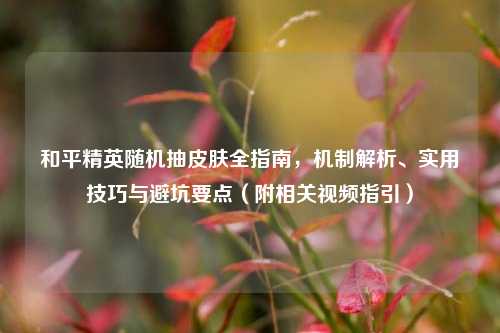 和平精英随机抽皮肤全指南，机制解析、实用技巧与避坑要点（附相关视频指引）