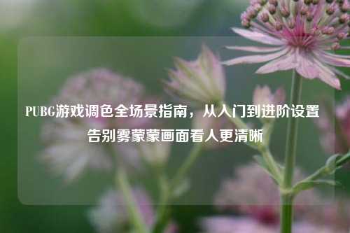 PUBG游戏调色全场景指南,从入门到进阶设置 告别雾蒙蒙画面看人更清晰