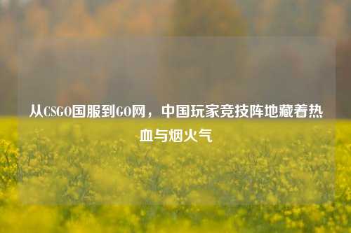 从CSGO国服到GO网，中国玩家竞技阵地藏着热血与烟火气