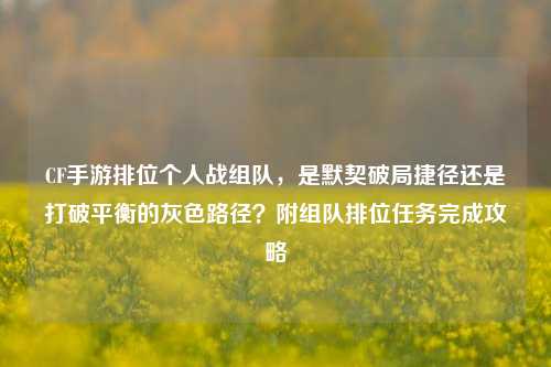 CF手游排位个人战组队,是默契破局捷径还是打破平衡的灰色路径?附组队排位任务完成攻略