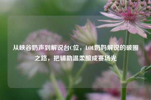 从峡谷奶声到解说台C位,LOL奶妈解说的破圈之路,把辅助温柔酿成赛场光