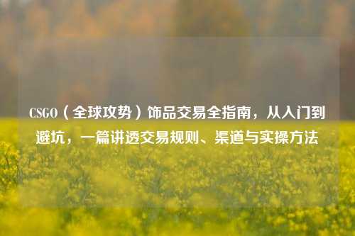 CSGO(全球攻势)饰品交易全指南,从入门到避坑,一篇讲透交易规则、渠道与实操方法