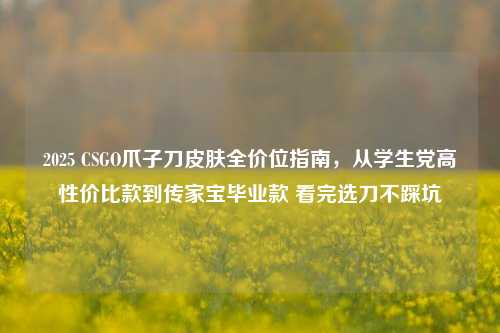 2025 CSGO爪子刀皮肤全价位指南，从学生党高性价比款到传家宝毕业款 看完选刀不踩坑
