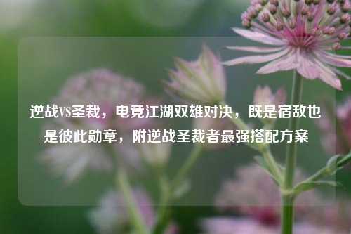 逆战VS圣裁，电竞江湖双雄对决，既是宿敌也是彼此勋章，附逆战圣裁者最强搭配方案