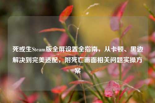 死或生Steam版全屏设置全指南，从卡顿、黑边解决到完美适配，附死亡画面相关问题实操方案