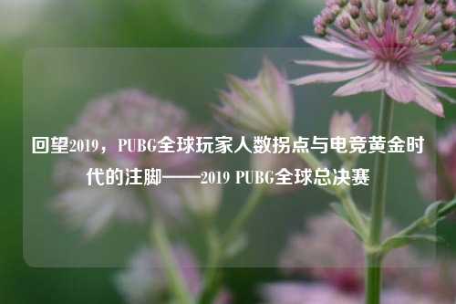 回望2019，PUBG全球玩家人数拐点与电竞黄金时代的注脚——2019 PUBG全球总决赛