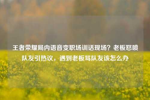 王者荣耀局内语音变职场训话现场?老板怒喷队友引热议,遇到老板骂队友该怎么办