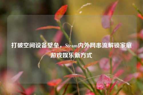 打破空间设备壁垒，Steam内外网串流解锁家庭游戏娱乐新方式