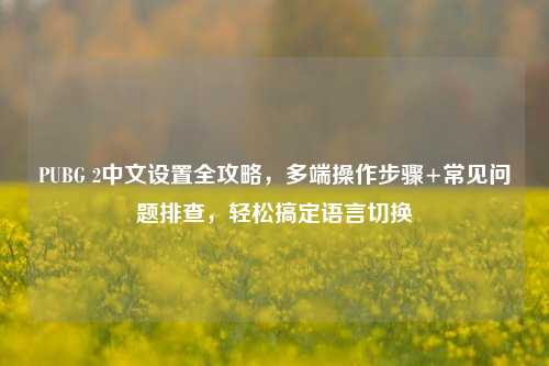 PUBG 2中文设置全攻略，多端操作步骤+常见问题排查，轻松搞定语言切换