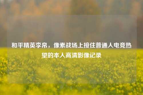 和平精英李帛，像素战场上接住普通人电竞热望的本人高清影像记录
