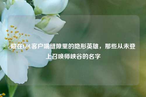 藏在LOL客户端缝隙里的隐形英雄,那些从未登上召唤师峡谷的名字