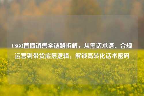 CSGO直播销售全链路拆解,从黑话术语、合规运营到带货底层逻辑,解锁高转化话术密码