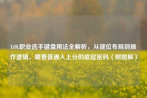 LOL职业选手键盘用法全解析，从键位布局到操作逻辑，藏着普通人上分的底层密码（附图解）