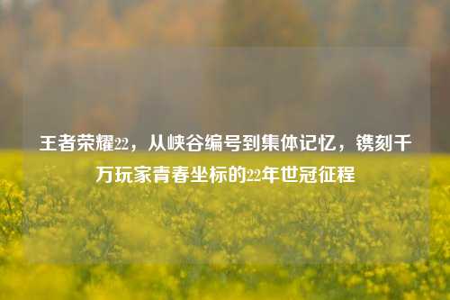 王者荣耀22,从峡谷编号到集体记忆,镌刻千万玩家青春坐标的22年世冠征程