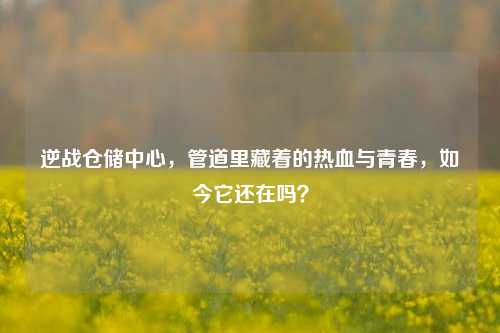 逆战仓储中心，管道里藏着的热血与青春，如今它还在吗？